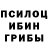 Галлюциногенные грибы мухоморы Himatillo Ergashev