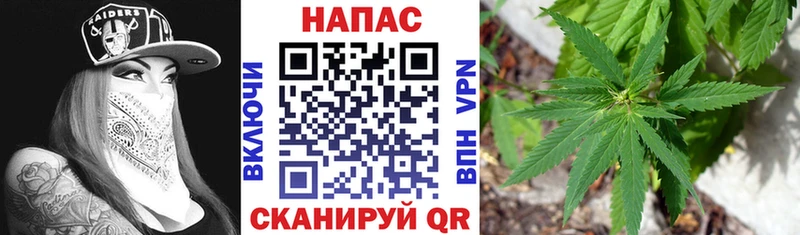 shop состав  Железногорск-Илимский  МАРИХУАНА семена 